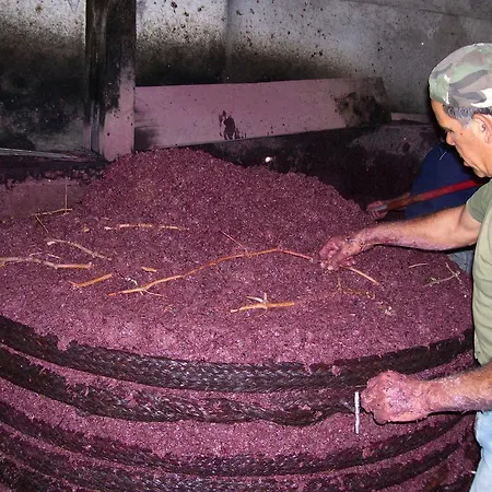 Etna Wine Azienda Agrituristica