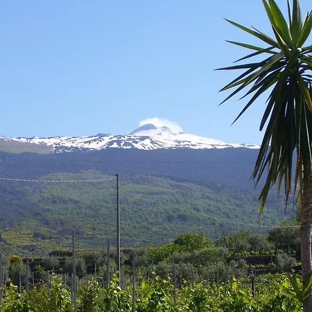 Alloggio per agriturismo Etna Wine Azienda Agrituristica